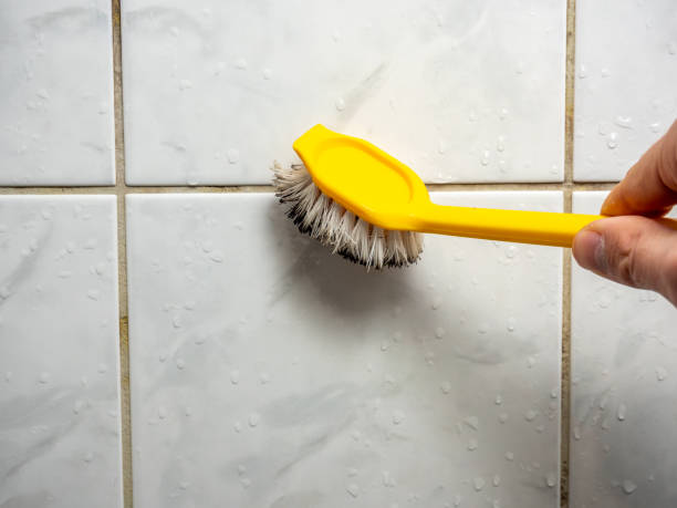 Best Emergency Mold Removal  in Salisbury, MO