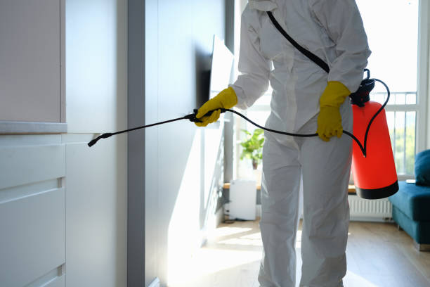 Best Residential Mold Removal  in Salisbury, MO