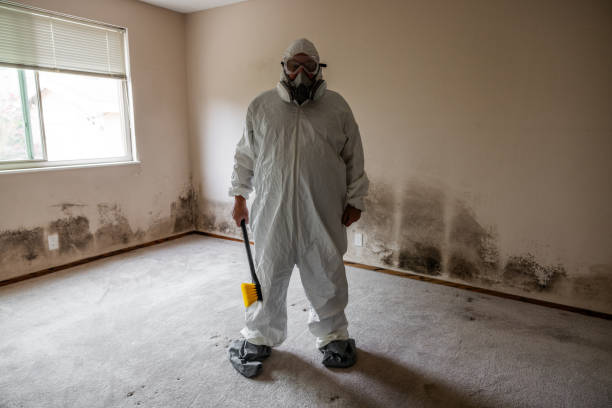 Best Mold Testing  in Salisbury, MO